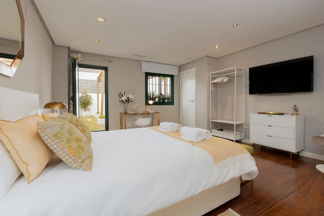C30 Deluxe Studio With Terrace Into Cathedral Square Apartment Malaga Spain